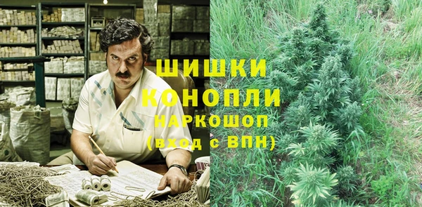 молекула духа Гусев