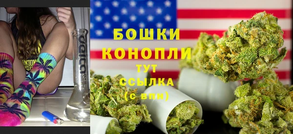 молекула духа Гусев