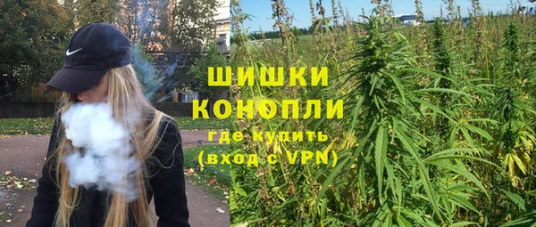 молекула духа Гусев