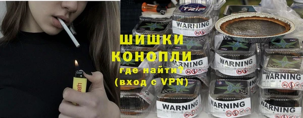 молекула духа Гусев